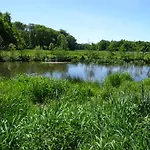 Apartment Haus Wald Und Wiese Wiese *