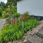 Haus Wald Und Wiese Wiese Ehndorf