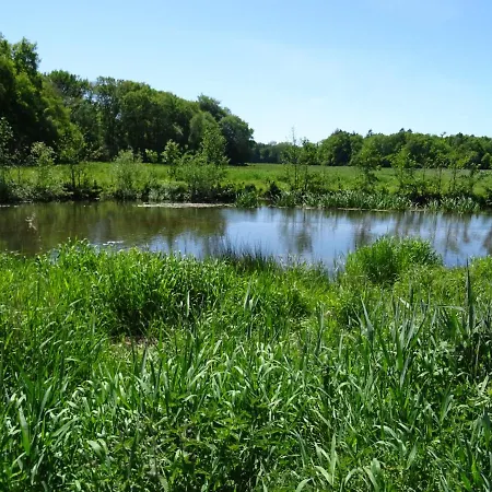 Apartamento Haus Wald Und Wiese Wiese *
