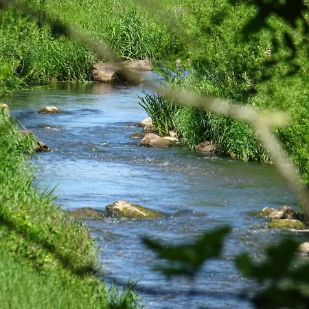 Haus Wald Und Wiese Wiese Apartment *