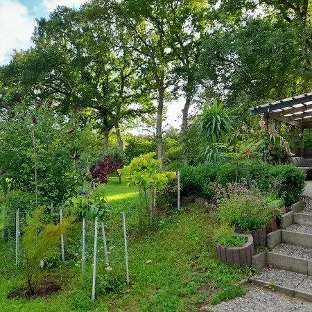 Haus Wald Und Wiese Wiese Apartment