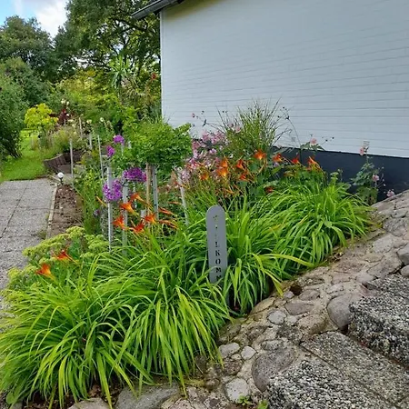 Haus Wald Und Wiese Wiese Ehndorf