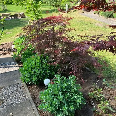 Haus Wald Und Wiese Wiese Apartment