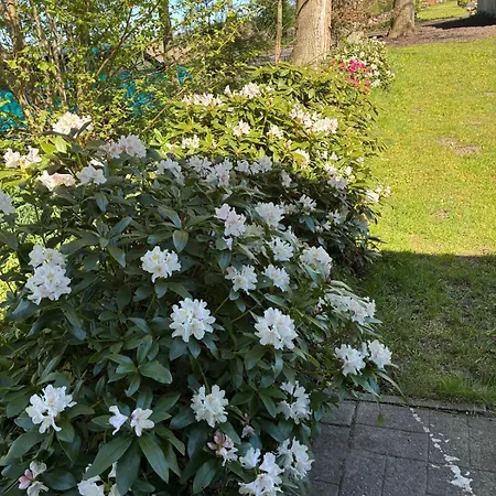 Haus Wald Und Wiese Wiese Apartment