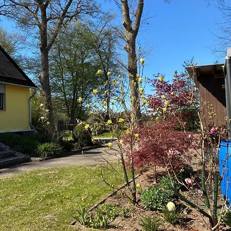 公寓 Haus Wald Und Wiese Wiese *