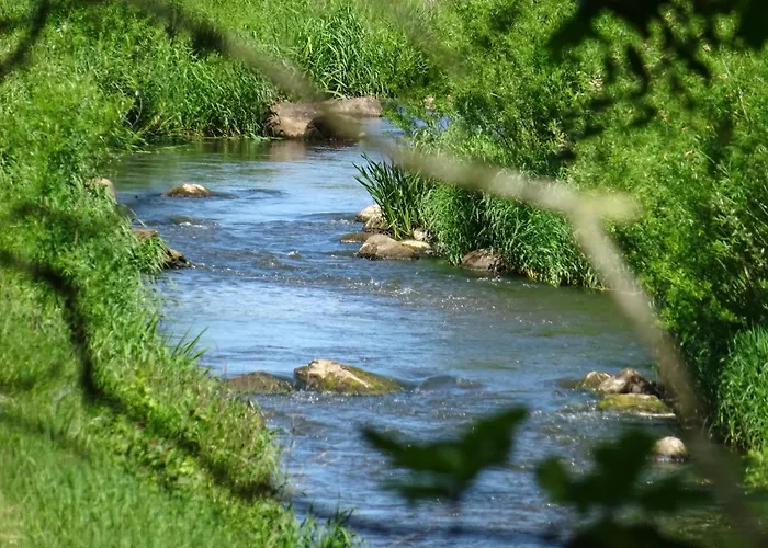 Haus Wald Und Wiese Wiese Appartement *
