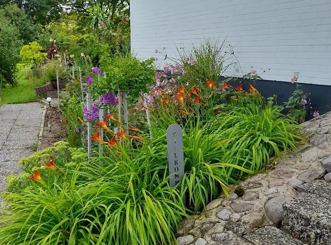 Haus Wald Und Wiese Wiese Ehndorf